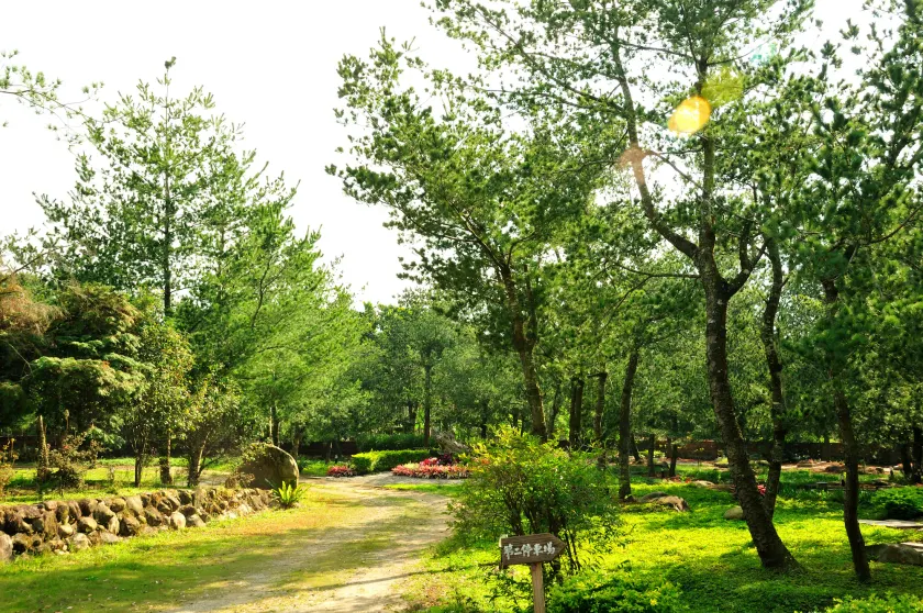 Zen and Pine Resort - Image 1