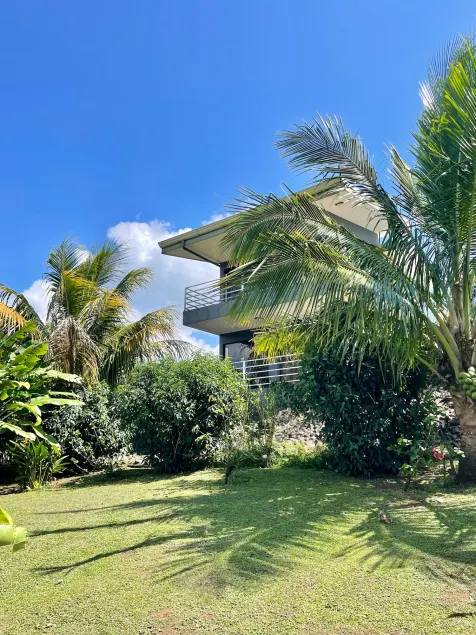 The Fruit Tree Garden Bromeliad Suite - Image 1