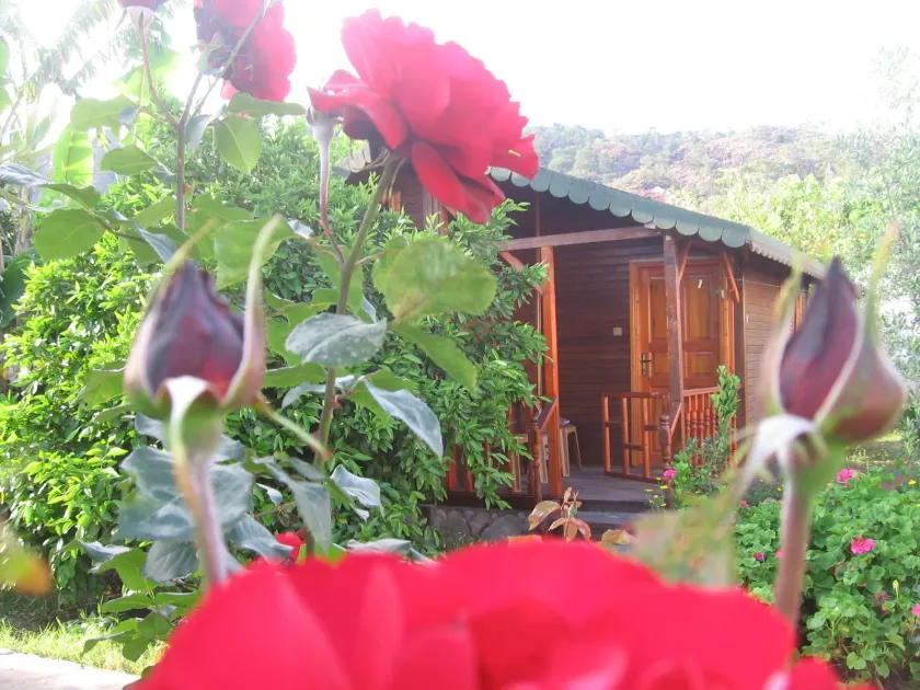 Ugur Pansiyon Bungalows - Image 1