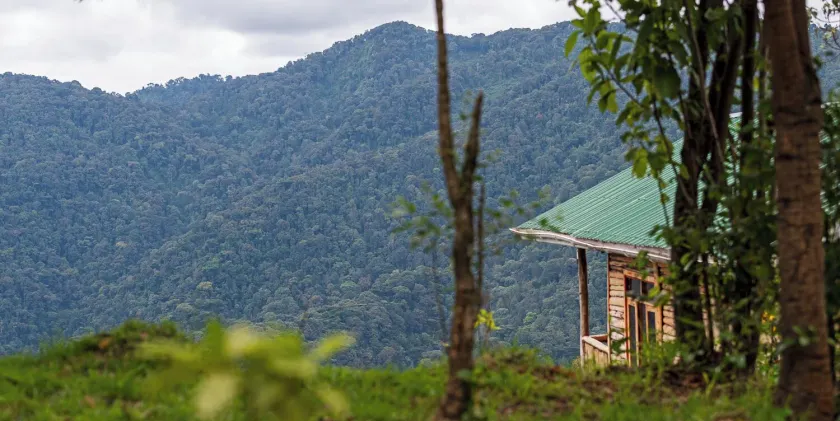 Orugano Bwindi Lodge - Image 1