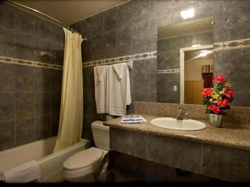 The Palace Inn - Image 1