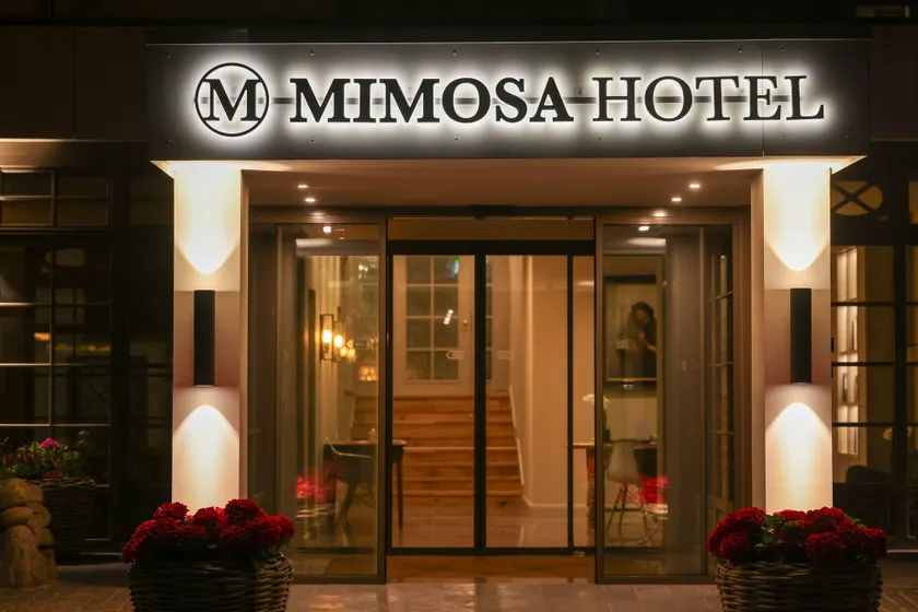 Mimosa Hotel - Image 1