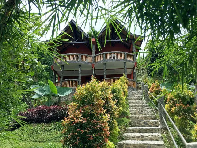 Hotel Orangutan - Image 1
