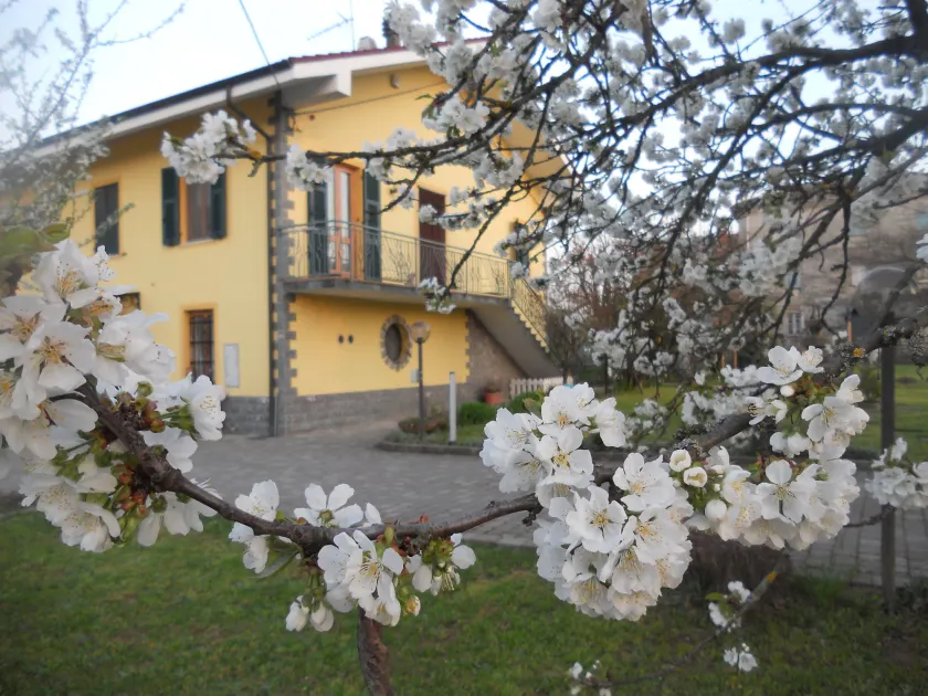 B&B Pervinca - Image 1