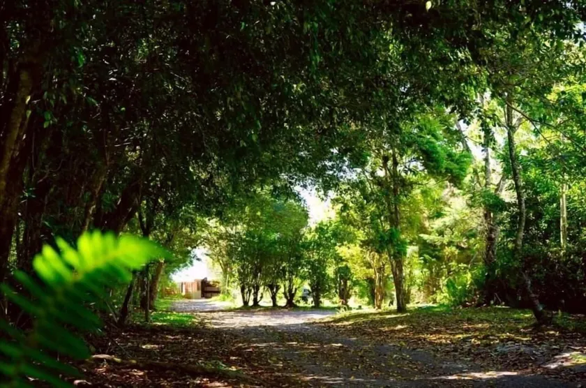 Villa Ilusión CR - Image 1
