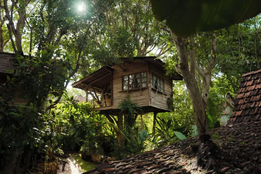 Roots Tree House - Image 1