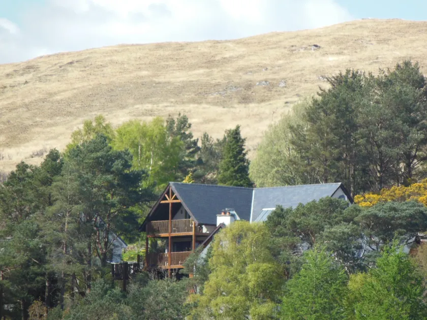 Treetops B&B - Image 1