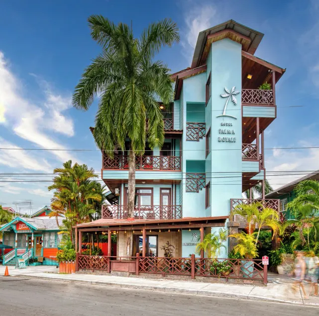 Hotel Palma Royale - Image 1