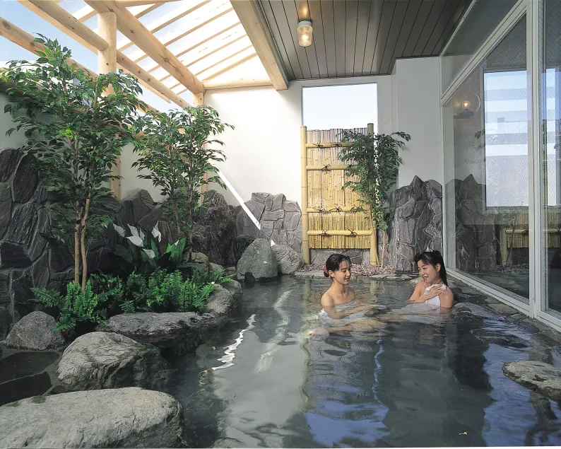 Hotel Yuzawa Yuzawa Denkiya - Image 1