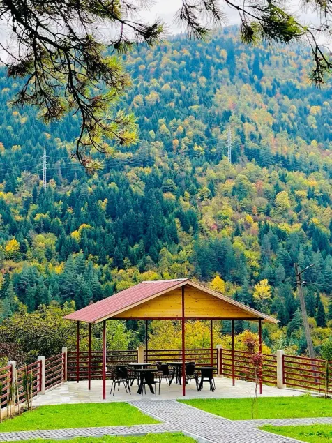 Holiday Borjomi - Image 1