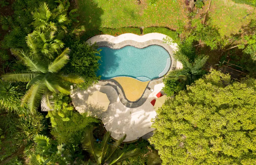 La Ponderosa - Image 1