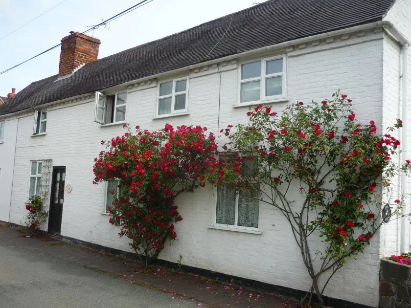 White Cottage Bed and Breakfast - Image 1