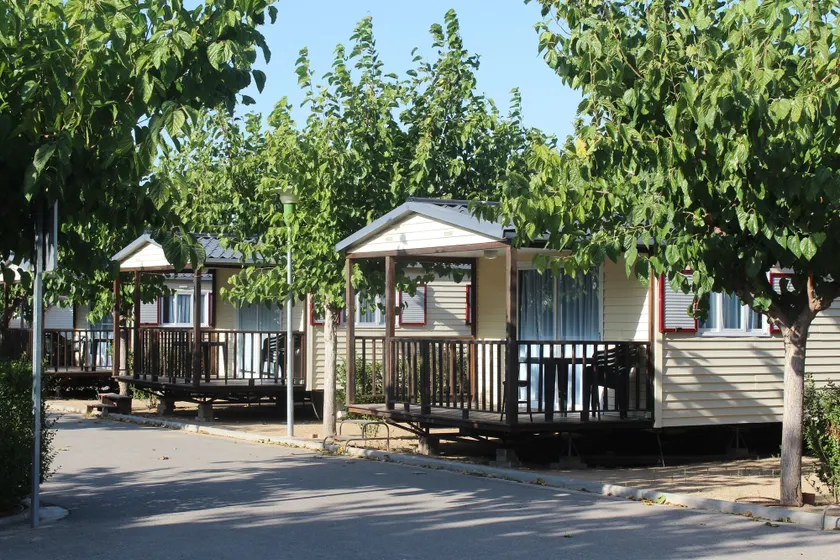 Camping Fayón Fishing - Image 1