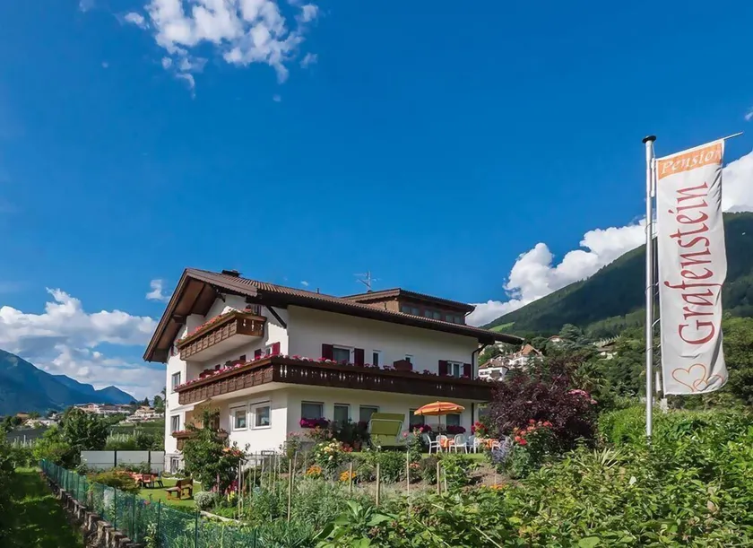 Guesthouse Pension Grafenstein - Image 1