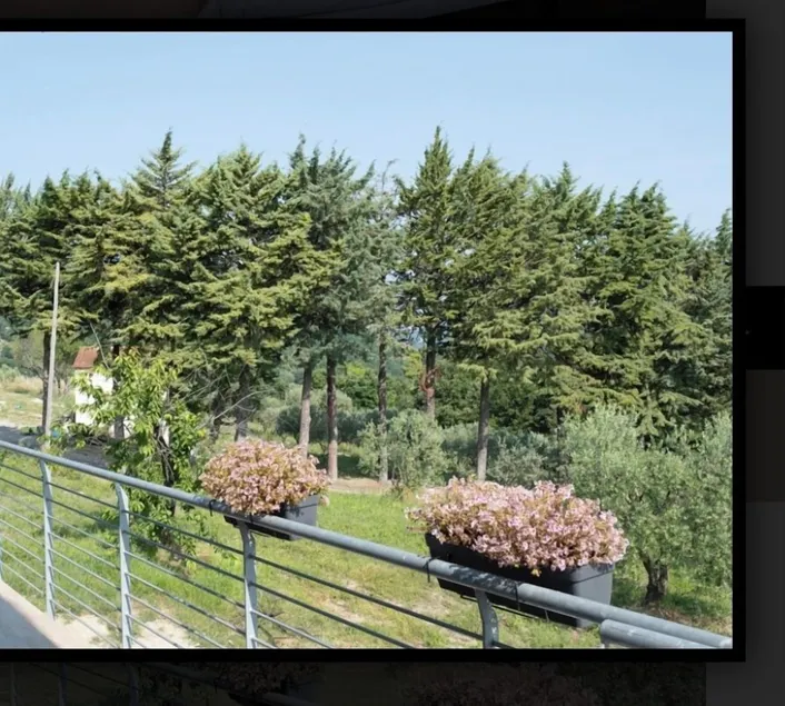 B&B La Caruscia - Image 1