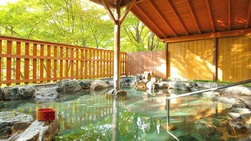 Ooedo Onsen Monogatari Hotel Kinugawa Gyoen - Image 1