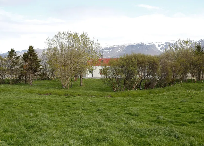 Syðra-Skörðugil Guesthouse - Image 1
