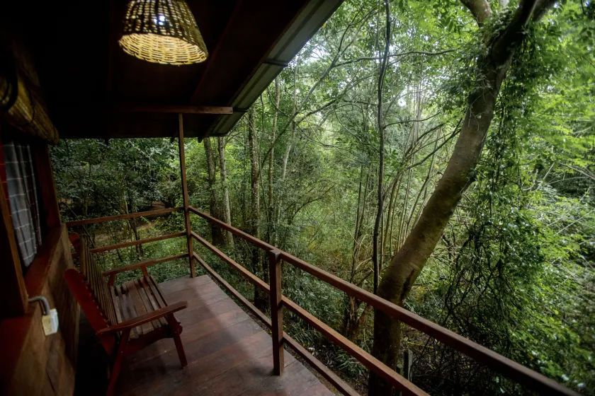 Inn On The Tree Eco Resort Sigiriya - Image 1