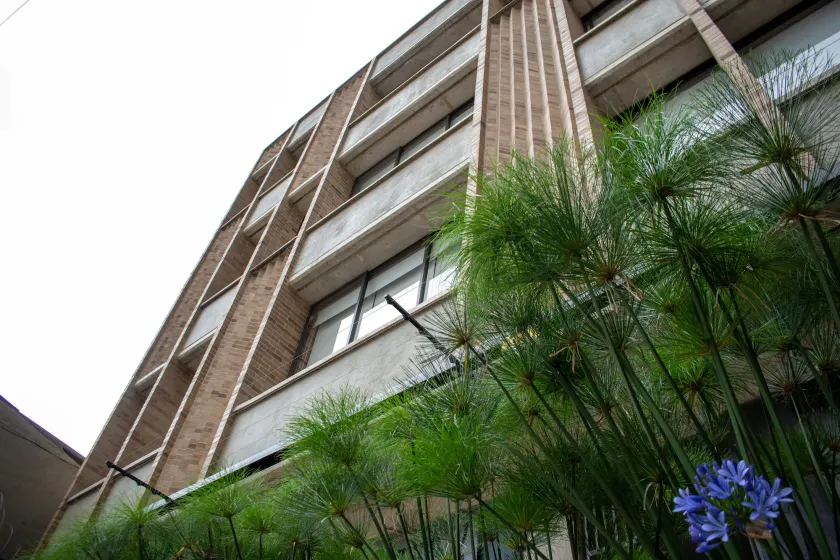 Cadena Hotelera Rey es - Image 1