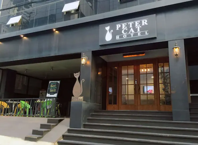Petercat Hotel Shinchon - Image 1