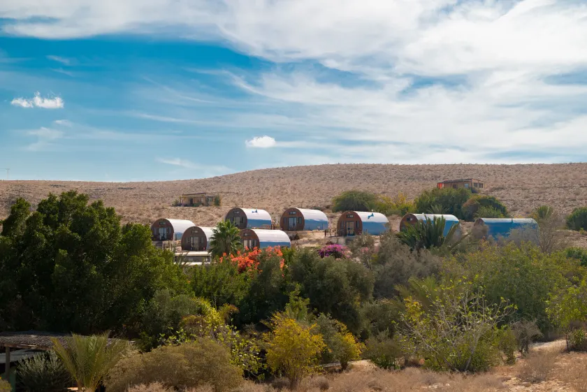 Carmey Avdat Farm - Image 1
