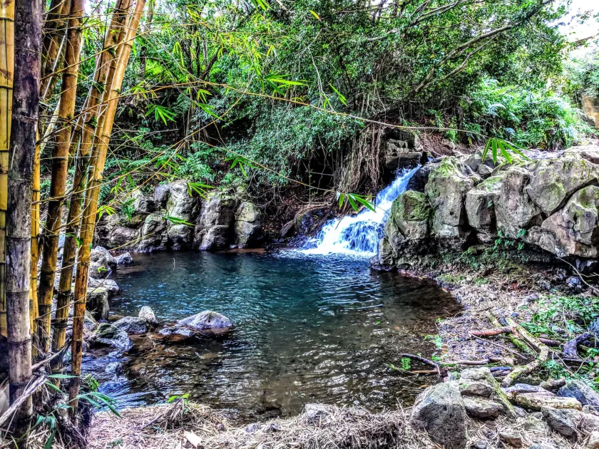 Hamakua Guesthouse - Image 1