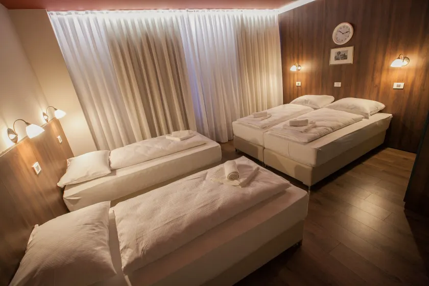 ECO Hotel Center Postojna - Image 1
