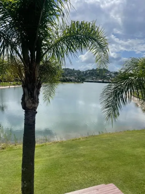 Bay of Palms - Image 1