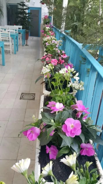 Adana City Hotel - Image 1