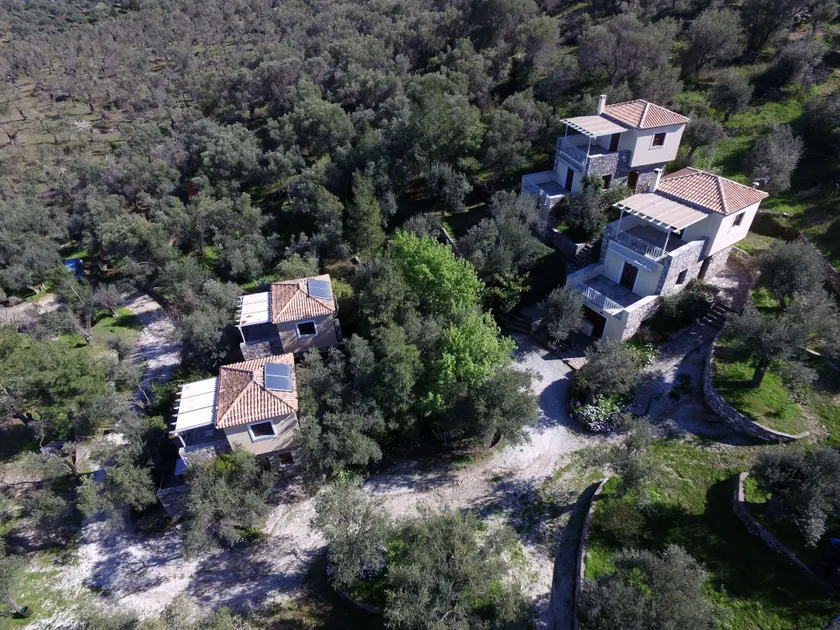 Gera's Olive Grove - Elaionas Lesvou - Image 1