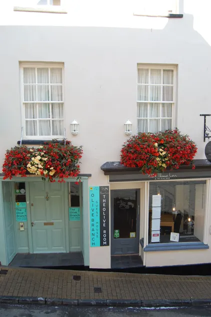 The Olive Branch - Image 1