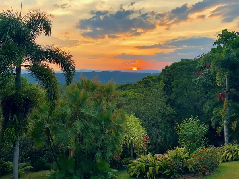 Daintree Manor B&B - Image 1