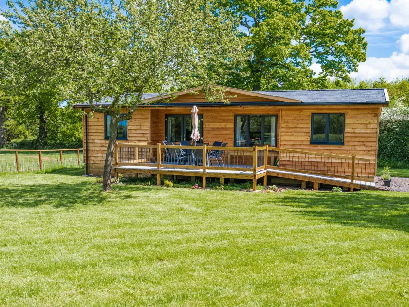 Top Style Orchard - Image 1