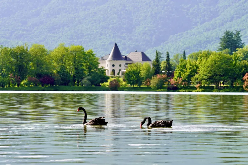 Lopota Lake Resort & Spa - Image 1