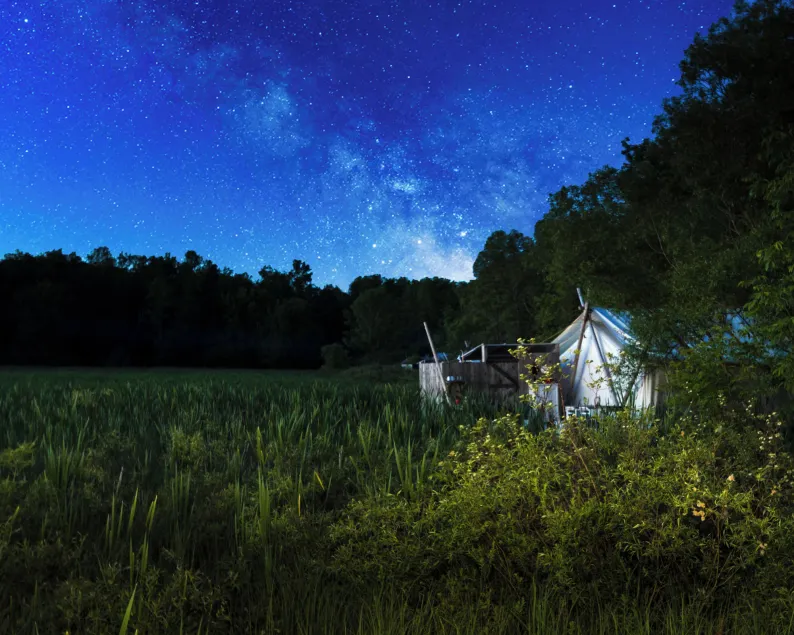 Fronterra Wellness Farm & Camp - Image 1