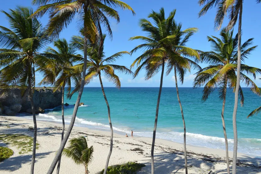 Tropical Gecko Studio - Sweet Jewel Apartments - Image 1