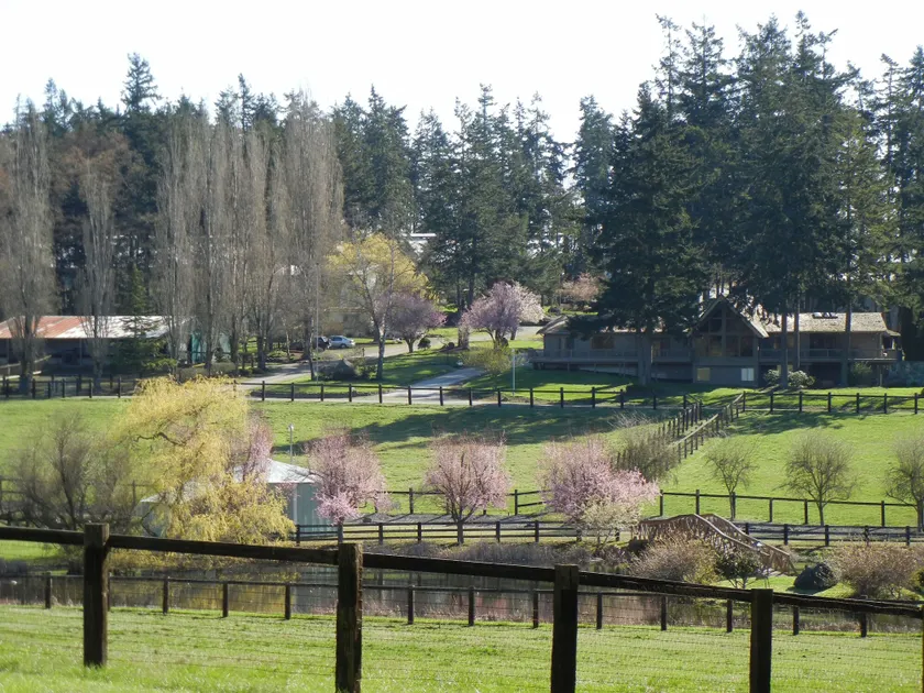 Wildwood Farm Bed & Breakfast - Image 1