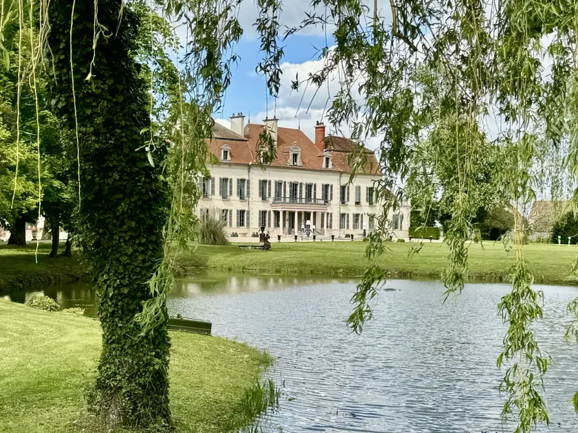 CHATEAU DE QUINCEY - Image 1