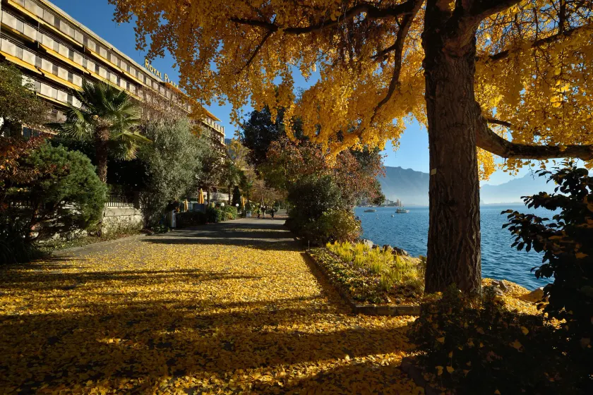 Royal Plaza Montreux - Image 1