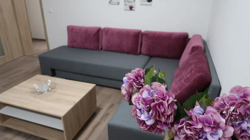 Private Luxury Apartments - Image 1