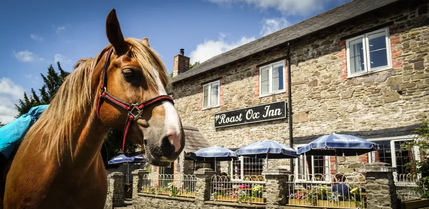 The Roast Ox Inn - Image 1