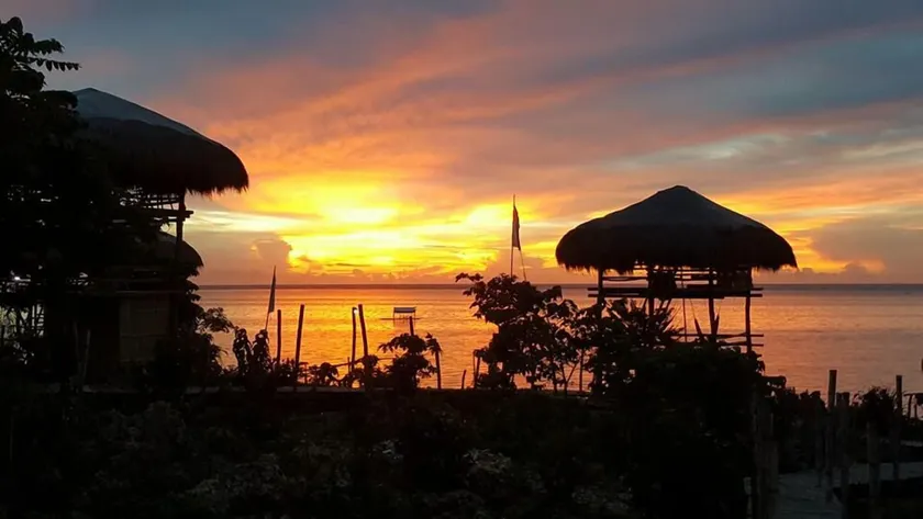 Birdland Beach Club - Image 1