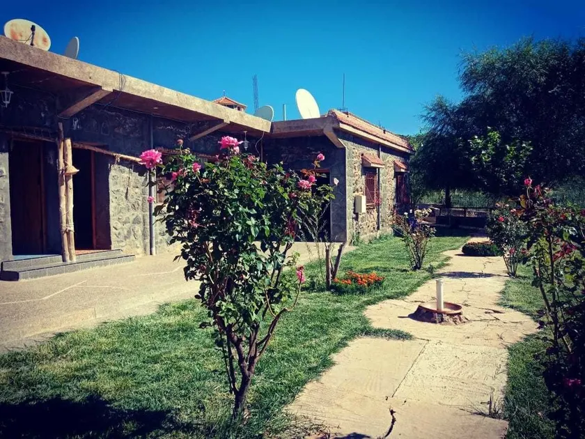 Tamanoucht - Image 1