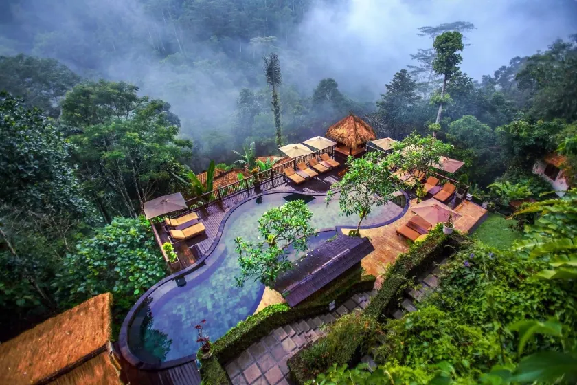 Nandini Jungle by Hanging Gardens - Image 1
