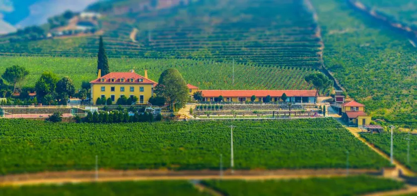 Solar Quinta da Portela - Douro - Image 1