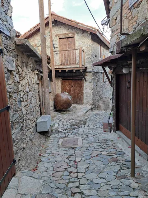 PITHARIA - Image 1