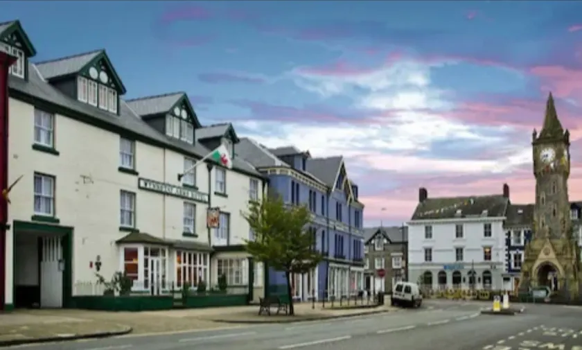 The Wynnstay - Image 1