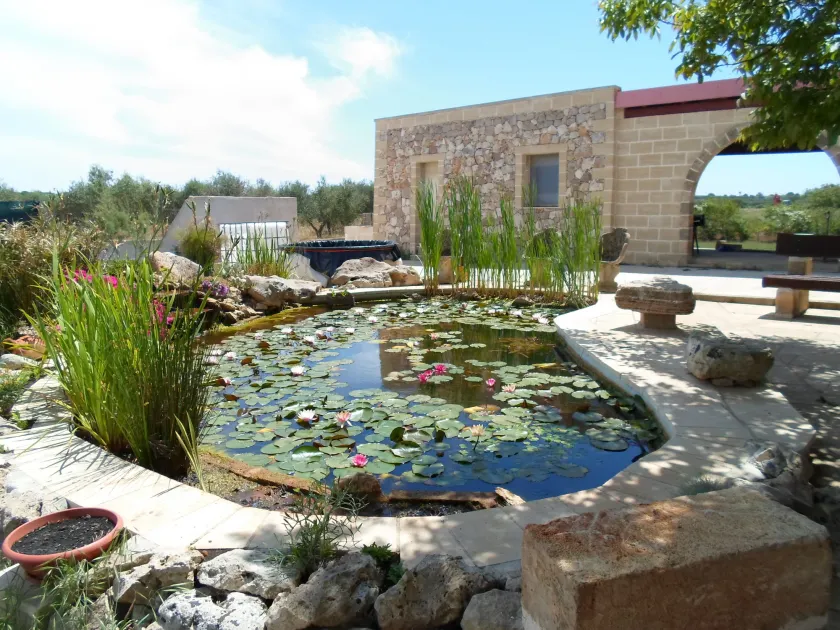 SALENTO: Villa 'Martina' 10 Minuten von Leuca, 3 km vom Meer entfernt - Image 1