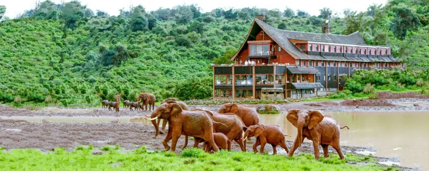 The Ark Lodge - Image 1