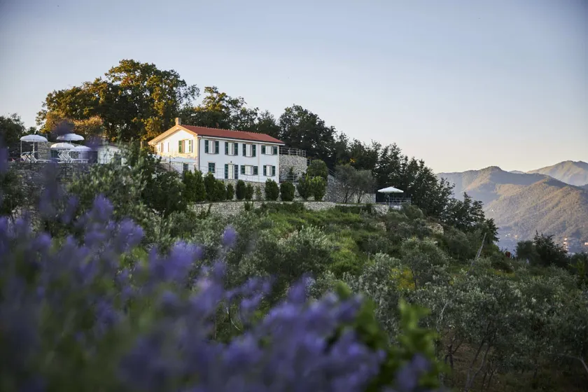Il Leccio - Luxury Resort Portofino Monte - Image 1